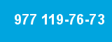 977 119-76-73